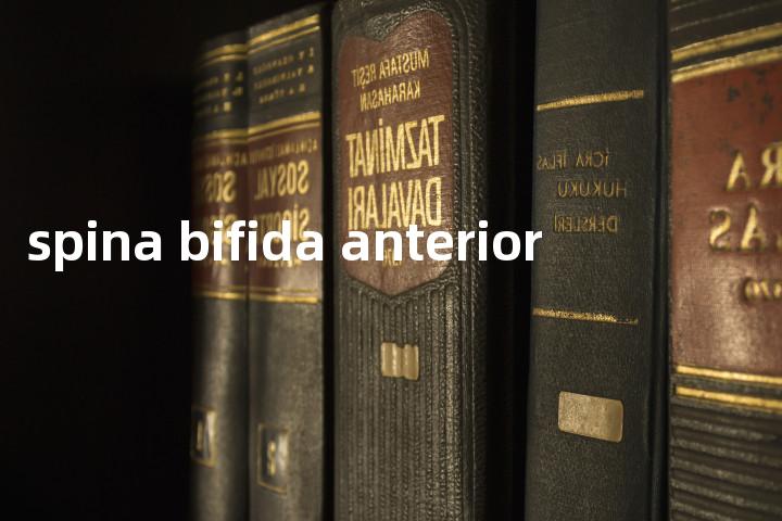 spina bifida anterior单词图解，单词释义场景配图