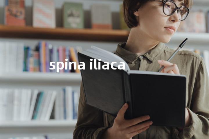 spina iliaca单词图解，单词释义场景配图
