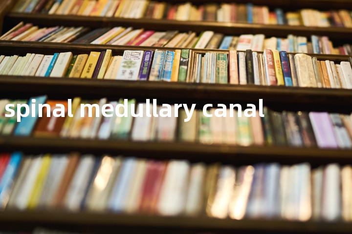 spinal medullary canal单词图解，单词释义场景配图