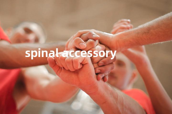 spinal accessory单词图解，单词释义场景配图