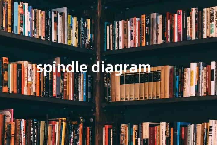 spindle diagram单词图解，单词释义场景配图
