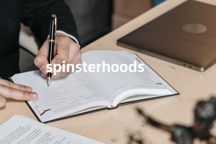 spinsterhoods单词图解，单词释义场景配图