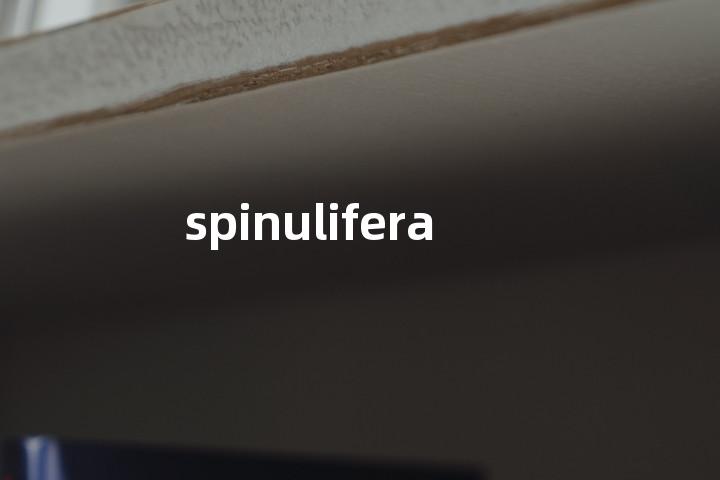 spinulifera单词图解，单词释义场景配图