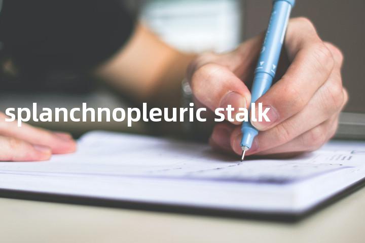 splanchnopleuric stalk单词图解，单词释义场景配图