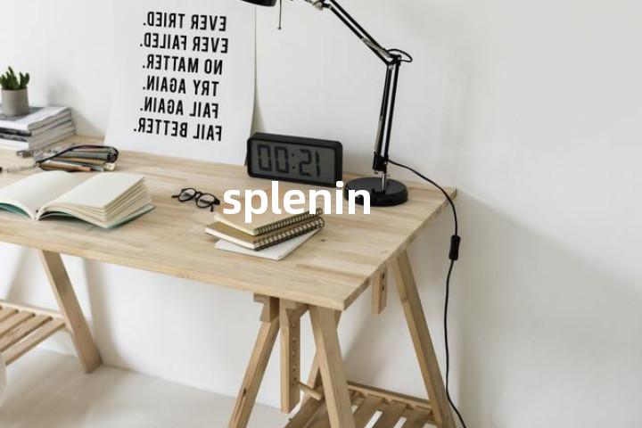 splenin单词图解，单词释义场景配图