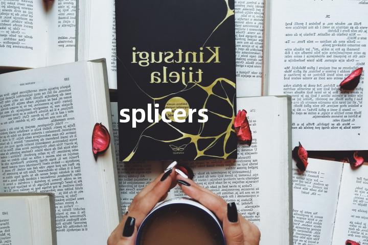 splicers单词图解，单词释义场景配图
