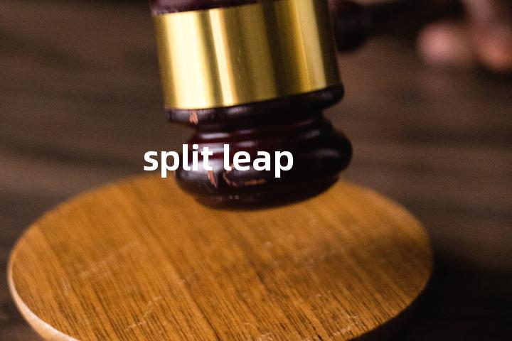 split leap单词图解，单词释义场景配图