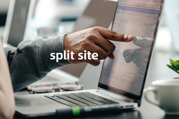 split site单词图解，单词释义场景配图