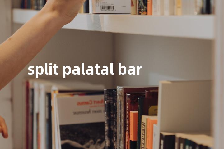 split palatal bar单词图解，单词释义场景配图