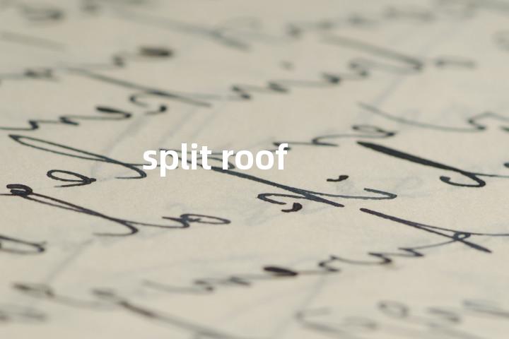 split roof单词图解，单词释义场景配图