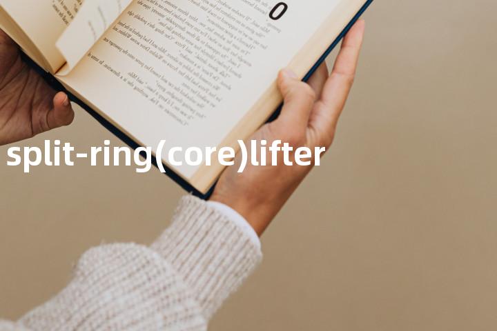 split-ring(core)lifter单词图解，单词释义场景配图