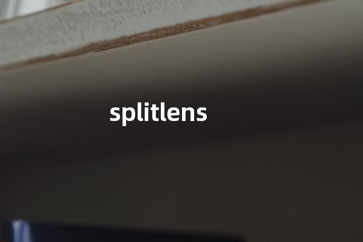 splitlens单词图解，单词释义场景配图