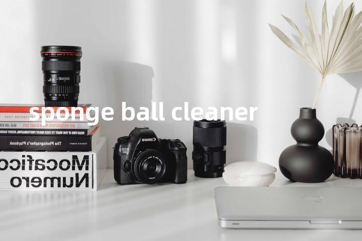 sponge ball cleaner单词图解，单词释义场景配图