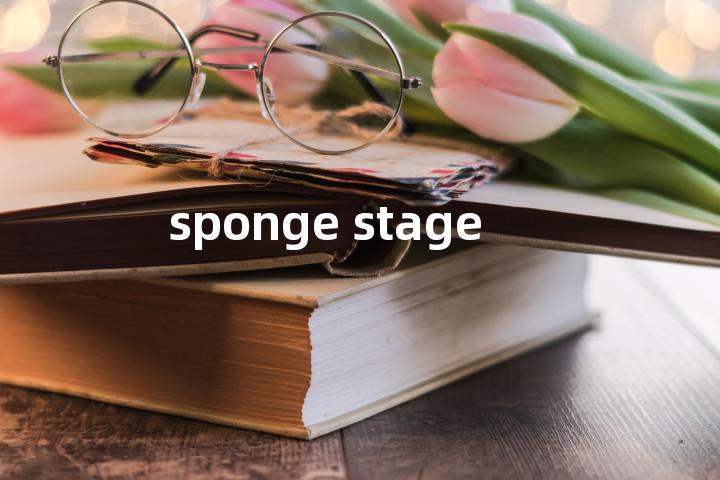 sponge stage单词图解，单词释义场景配图
