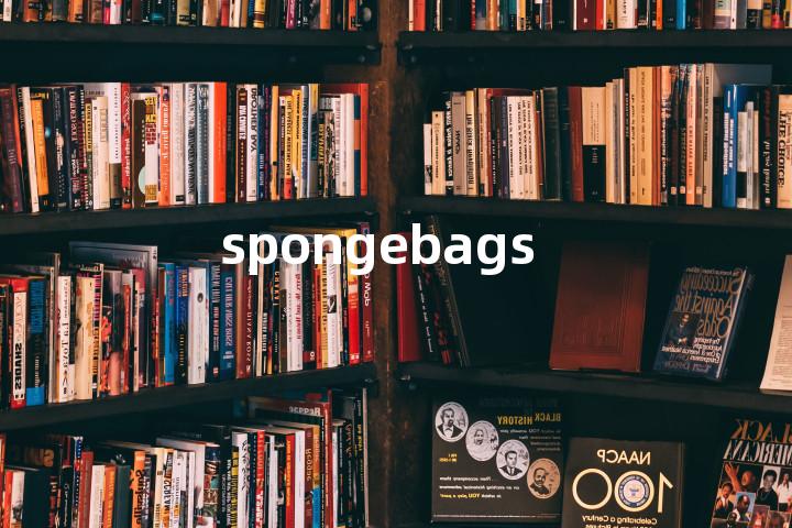 spongebags单词图解，单词释义场景配图