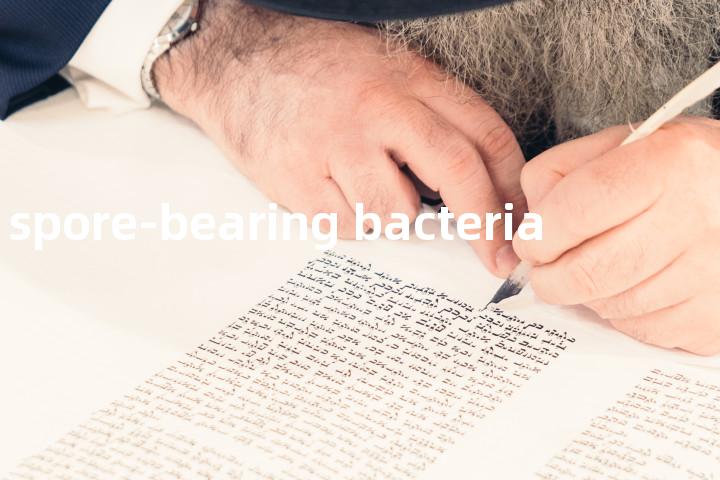 spore-bearing bacteria单词图解，单词释义场景配图