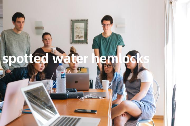 spotted water hemlocks单词图解，单词释义场景配图