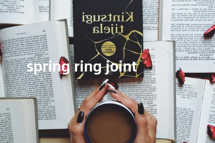 spring ring joint单词图解，单词释义场景配图