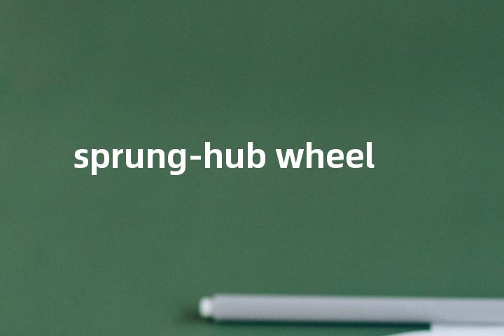 sprung-hub wheel单词图解，单词释义场景配图
