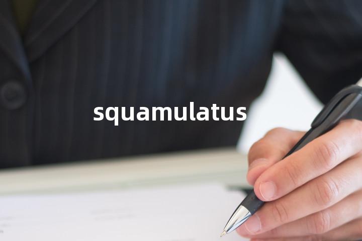 squamulatus单词图解，单词释义场景配图