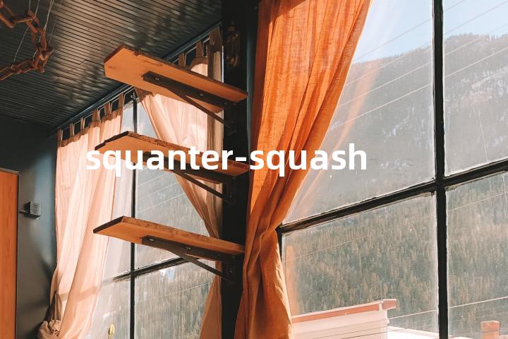 squanter-squash单词图解，单词释义场景配图