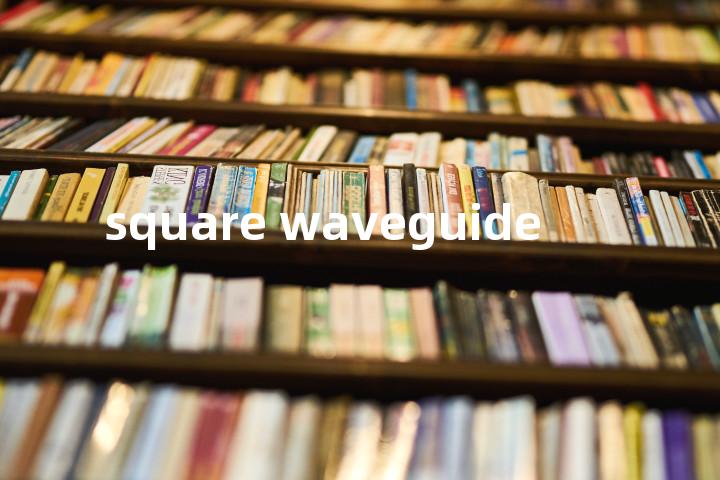 square waveguide单词图解，单词释义场景配图