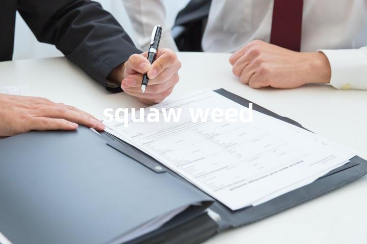 squaw weed单词图解，单词释义场景配图