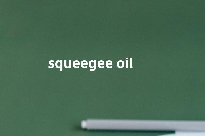squeegee oil单词图解，单词释义场景配图