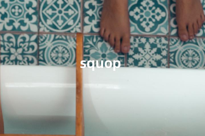 squop单词图解，单词释义场景配图