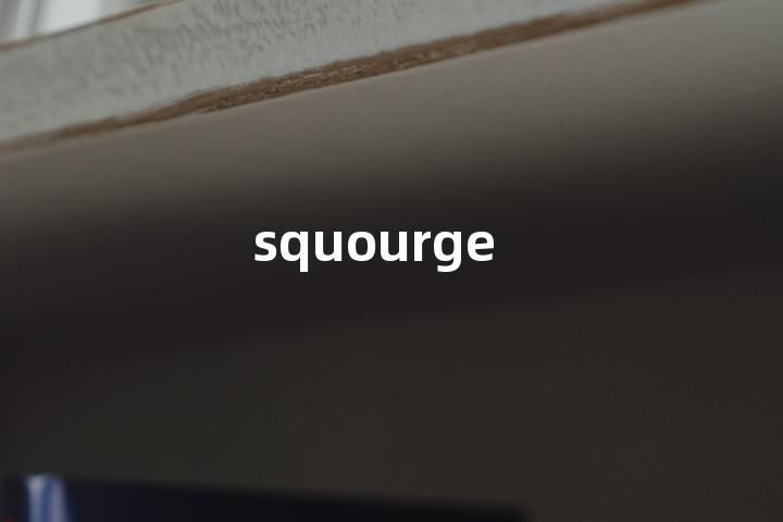 squourge单词图解，单词释义场景配图