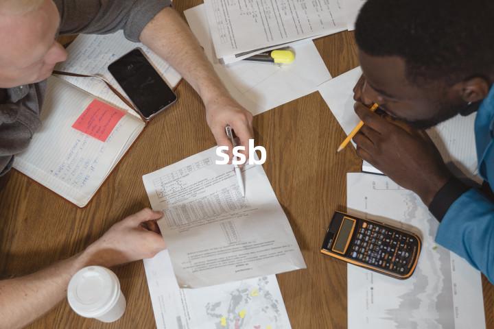 ssb单词图解，单词释义场景配图