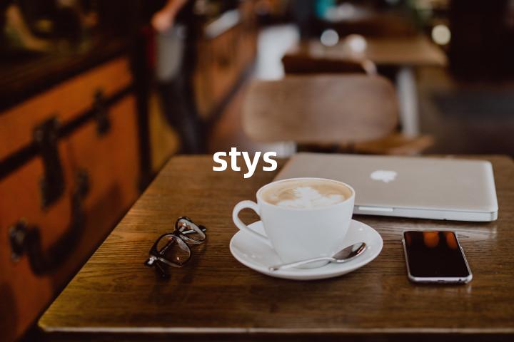 stys单词图解，单词释义场景配图