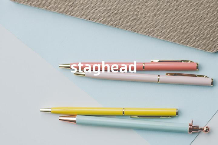 staghead单词图解，单词释义场景配图