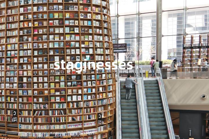 staginesses单词图解，单词释义场景配图