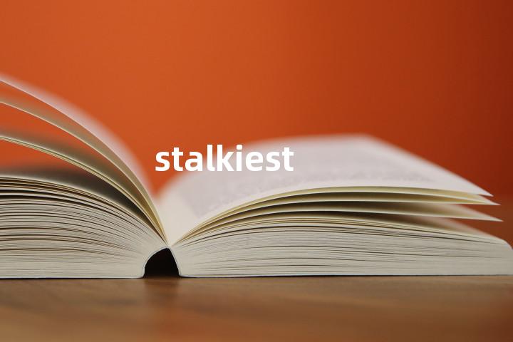 stalkiest单词图解，单词释义场景配图
