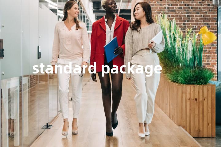 standard package单词图解，单词释义场景配图