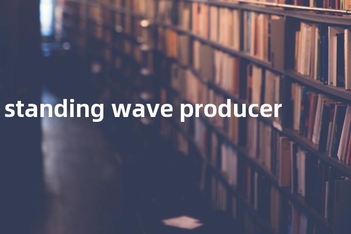 standing wave producer单词图解，单词释义场景配图
