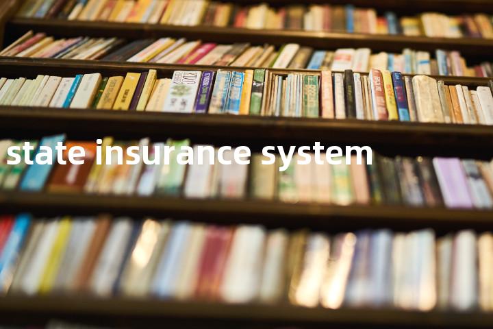 state insurance system单词图解，单词释义场景配图