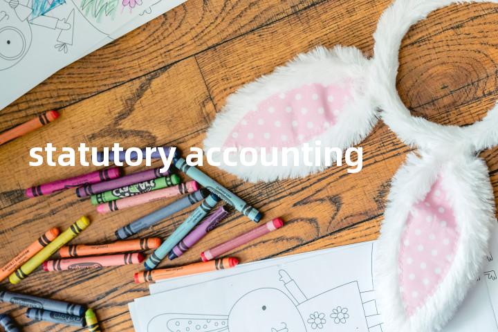 statutory accounting单词图解，单词释义场景配图