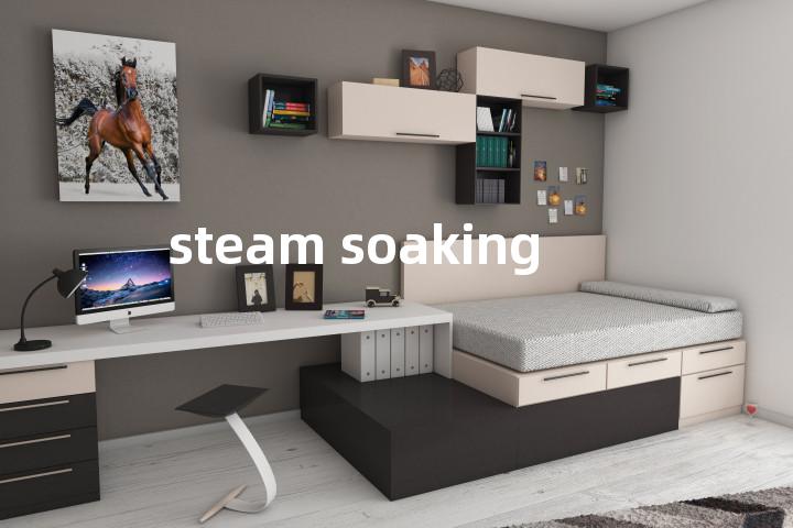 steam soaking单词图解，单词释义场景配图