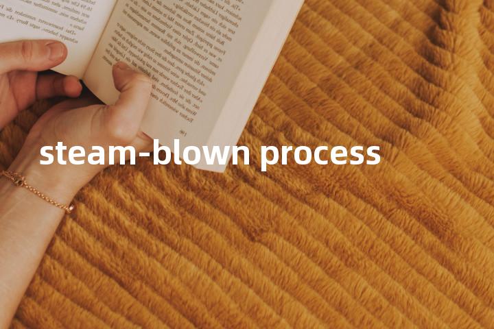 steam-blown process单词图解，单词释义场景配图
