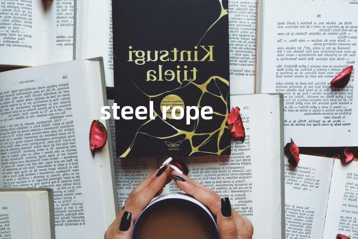 steel rope单词图解，单词释义场景配图