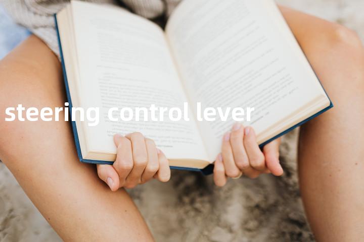 steering control lever单词图解，单词释义场景配图