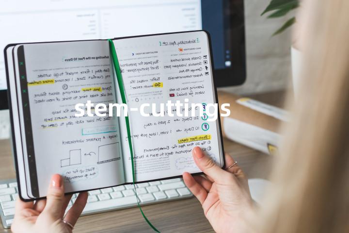 stem-cuttings单词图解，单词释义场景配图