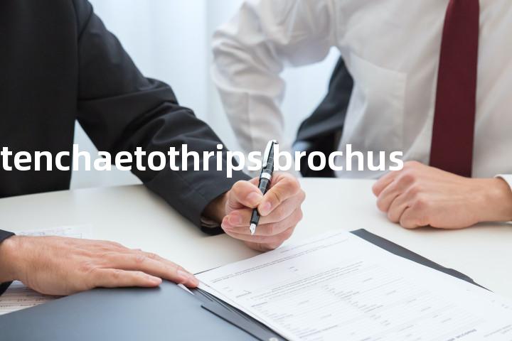 stenchaetothrips brochus单词图解，单词释义场景配图