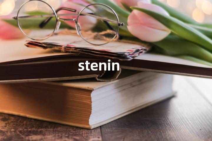 stenin单词图解，单词释义场景配图