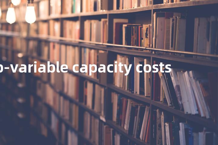 step-variable capacity costs单词图解，单词释义场景配图