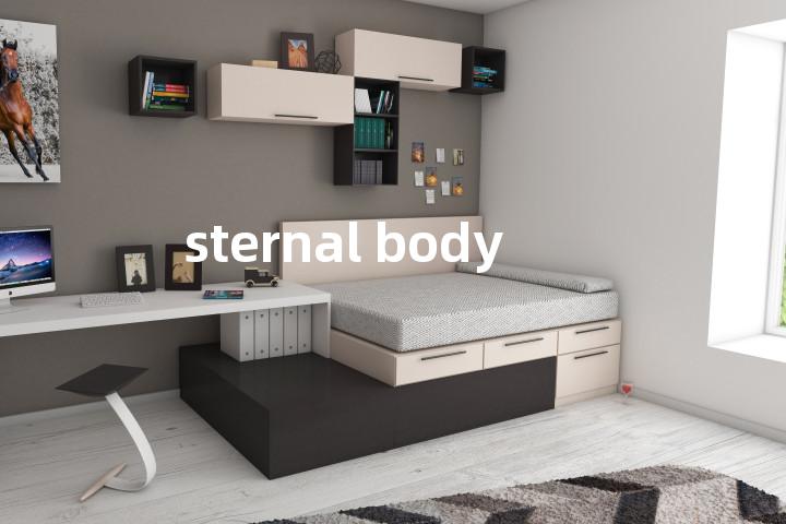 sternal body单词图解，单词释义场景配图