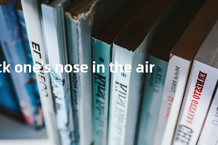 stick one's nose in the air单词图解，单词释义场景配图