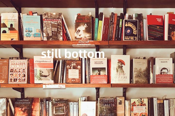 still bottom单词图解，单词释义场景配图